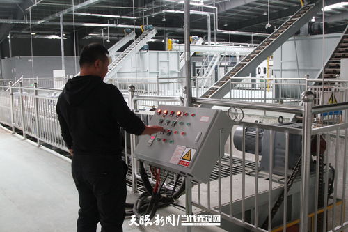 全國首家自主知識產(chǎn)權(quán)全智能化白參菌栽培工廠落戶大方 智能電網(wǎng)技術(shù)護航產(chǎn)業(yè)升級