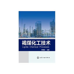 褐煤化工技術與計算機軟件技術開發的融合創新
